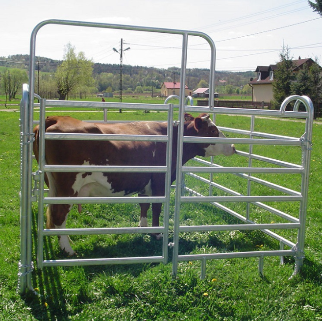 CATTLE FENCE